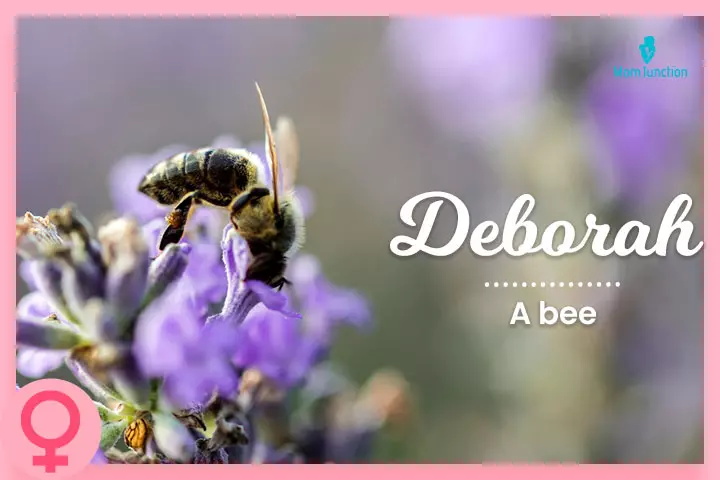 Deborah, a name meaning a bee