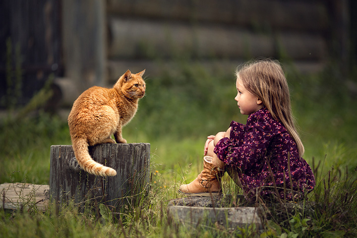 Interesting Information And Facts About Cats For Kids