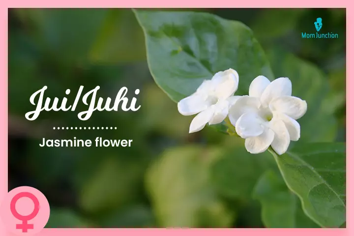 Juhi is a Hindu name meaning jasmine flower