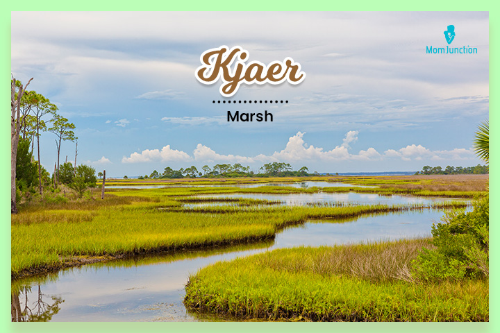 Kjaer means a beautiful marshland