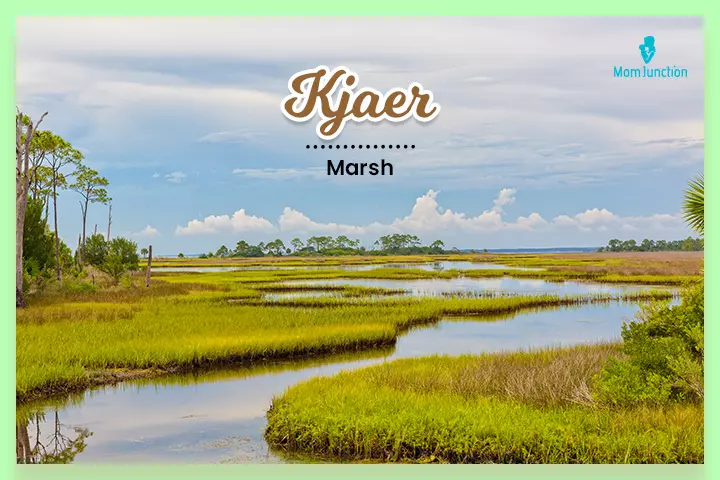 Kjaer means a beautiful marshland