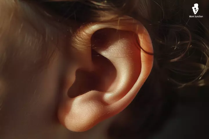 Smallest bone in the middle ear