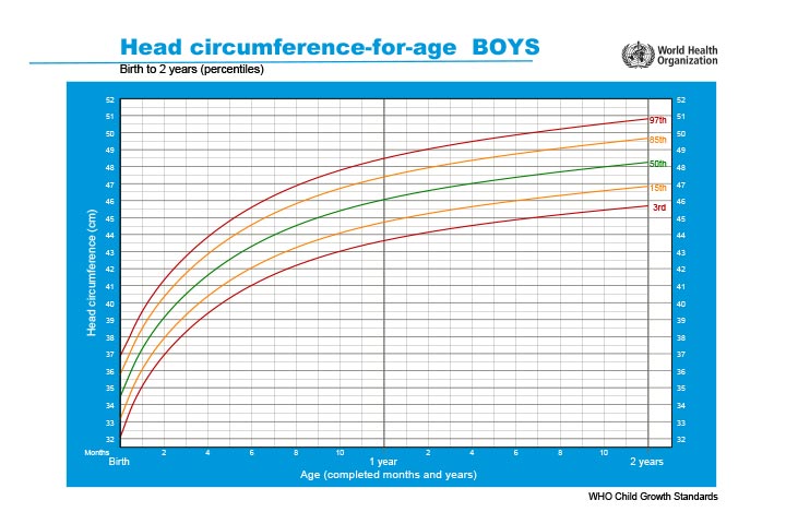 head circumference for age BOYS