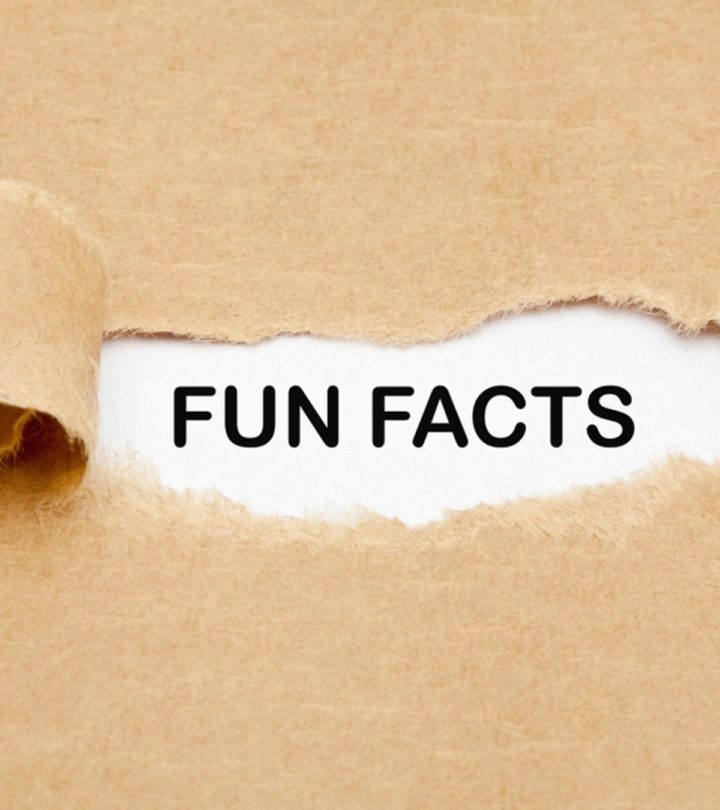 interesting fun facts about me ideas