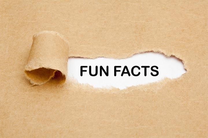 75 Fun And Interesting Facts About Yourself