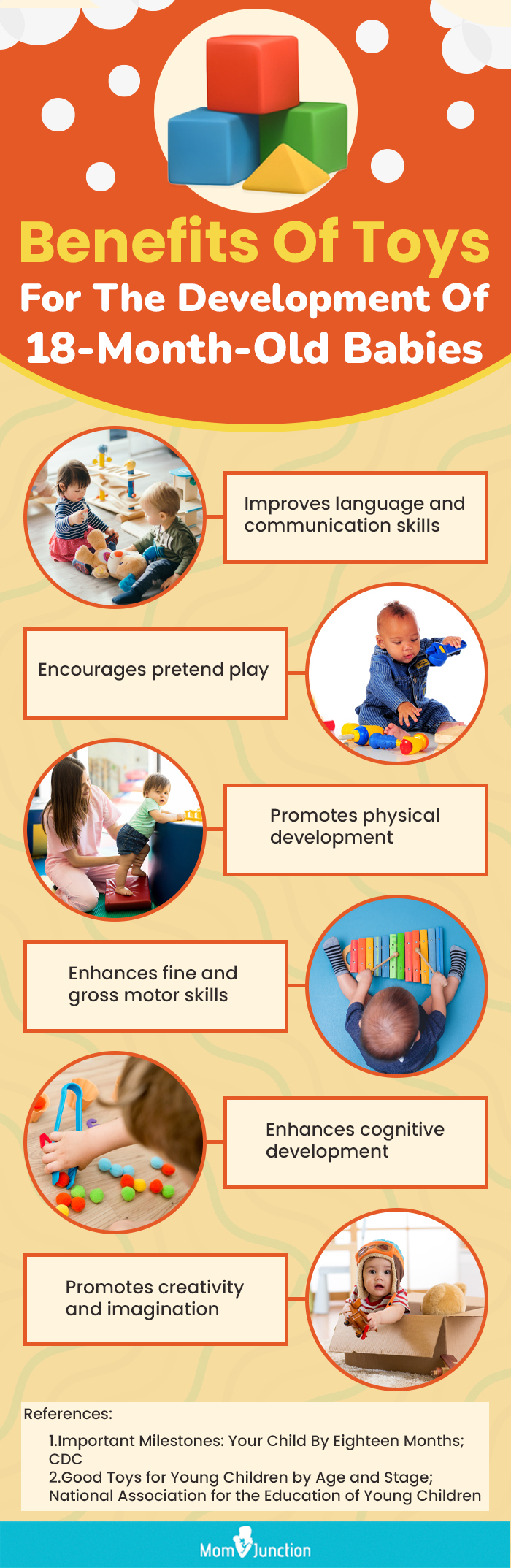 Benefits Of Toys For The Development Of 18 Month Old Babies (infographic)