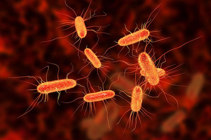 E.coli can cause food poisoning