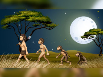 30 Fun Facts About Evolution For Kids; And Its Timeline