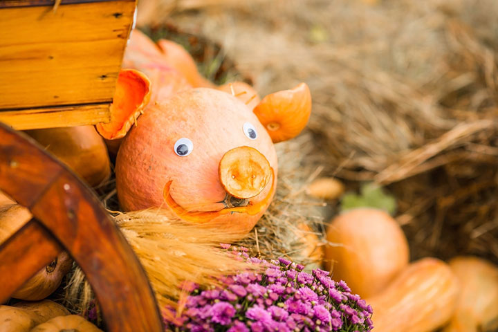 Farm animal pumpkin carving idea for kids