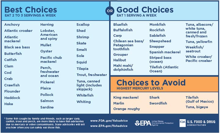 Guide to having fish, foods to avoid when breastfeeding