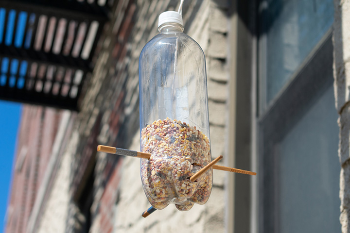 Plastic bottle bird feeders for kids