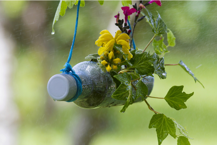Vertical garden, Plastic bottle crafts for kids