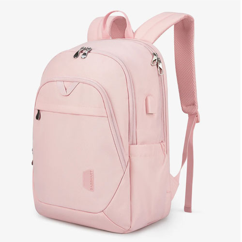 Bagsmart Laptop Backpack