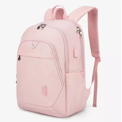 Bagsmart Laptop Backpack