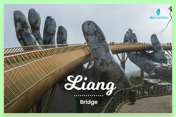Liang is bridge in Vietnamese