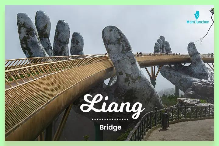 Liang is bridge in Vietnamese