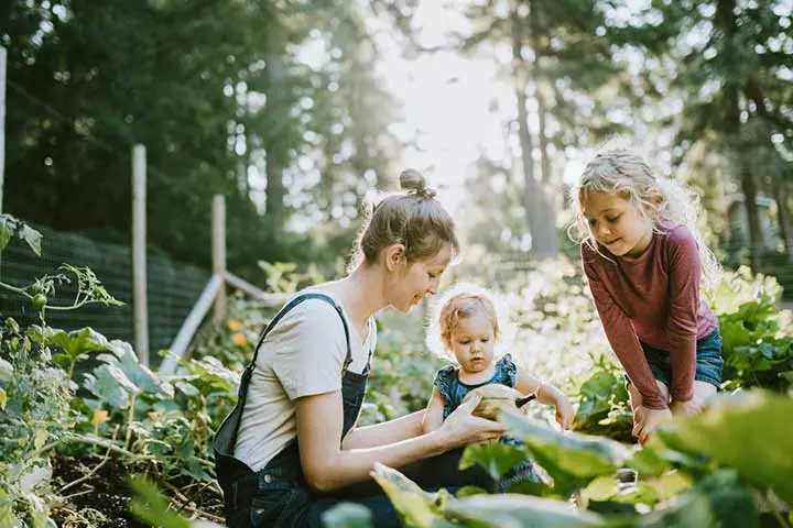 Nutritional Education Of The Child