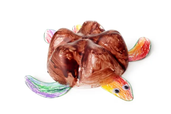 Turtle Craft