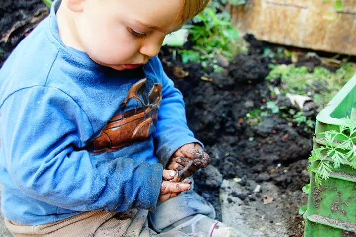 Types Of Worms And Their Symptoms