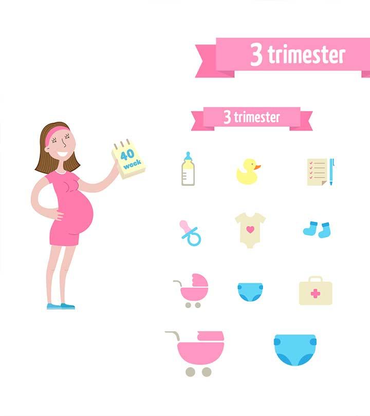 The Third Trimester Of Pregnancy Guide And What To Expect 