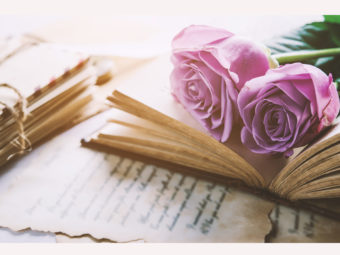 close-violet-purple-rose-flower-love-568849285