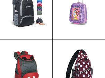 11 Best Bags For Disney World in 2021