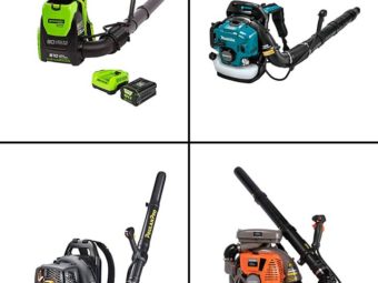 11 Best Backpack Leaf Blowers For Easy Cleaning In 2022 (With Reviews)