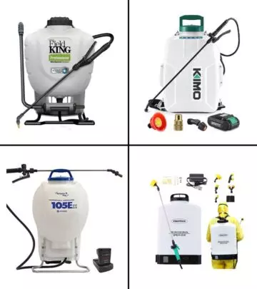 11 Best Backpack Sprayers For The Garden & Lawn In 2021