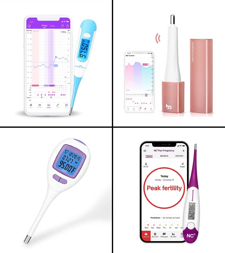 7 Best Basal Thermometers To Buy In 2023