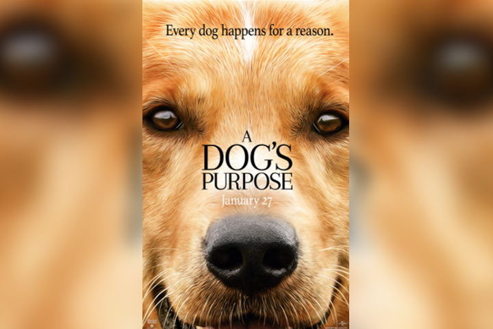 A dog's purpose, dog movie for kids