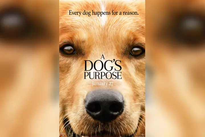 A dog's purpose, dog movie for kids