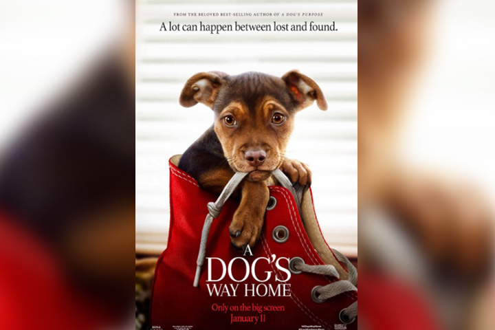 A dog's way home, dog movie for kids