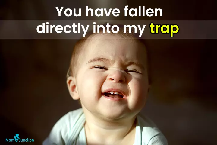 You have fallen directly into my trap meme for kids