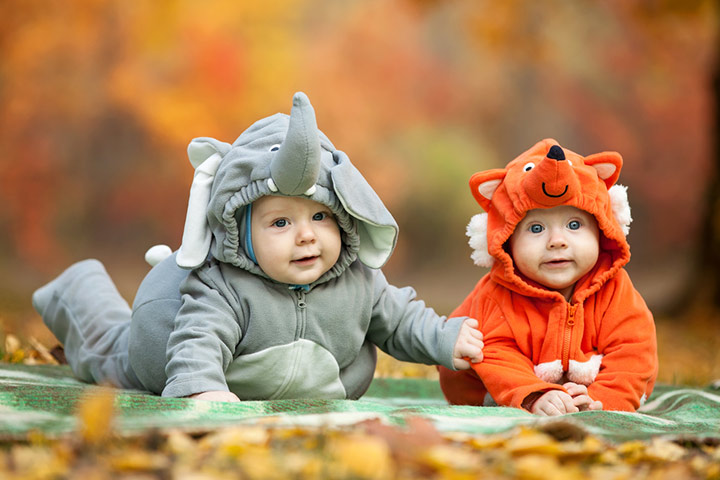 Attend A Zoo-Boo Event