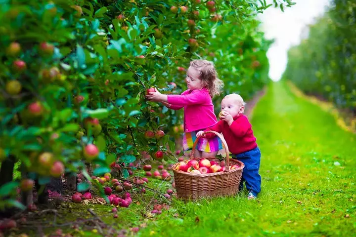Go Apple PickingVisit A Pumpkin Patch