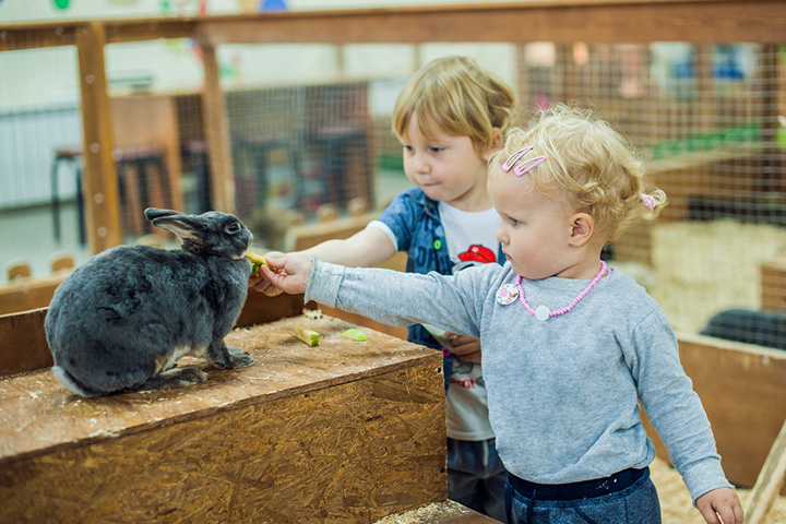 Petting zoo toddler birthday party ideas