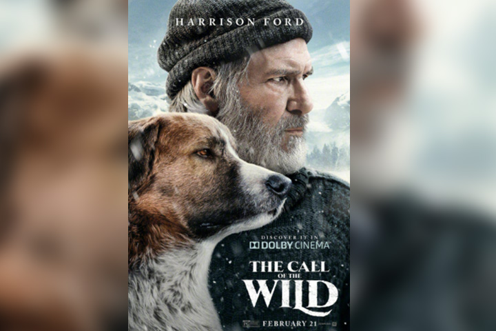 The call of the wind, dog movie for kids