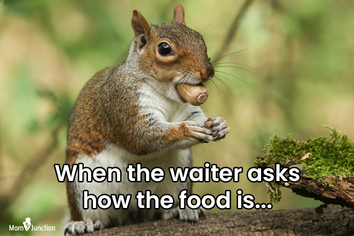 Waiter and squirrel memes for kids