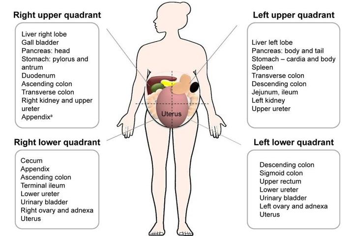 Lower abdominal pain in early pregnancy