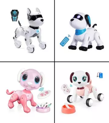 11 Best Robot Dog Toys For Kids In 2024