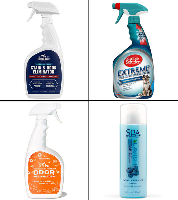 15 Best Pet Stain Removers And Carpet Cleaners In 2024, As Per Experts