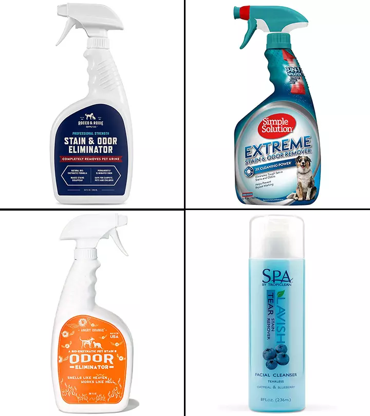 15 Best Pet Stain Removers Available Online In 2021