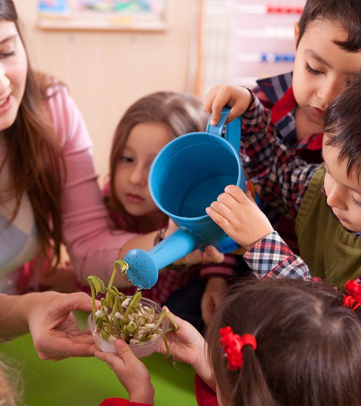 Social Emotional Activities For Toddlers In Childcare