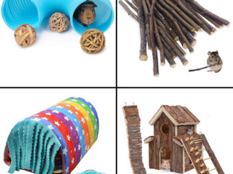 7 Best Guinea Pig Toys To Buy In 2021