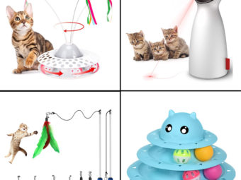 10 Best Kitten Toys In 2021