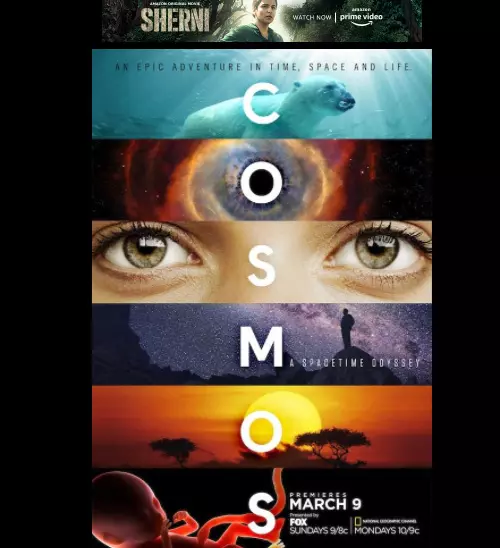 Cosmos A Spacetime Odyssey