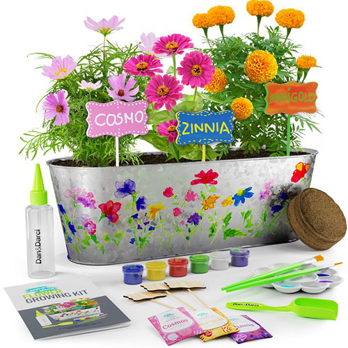 Dan & Darci Paint & Plant Stoneware Flower Gardening Kit