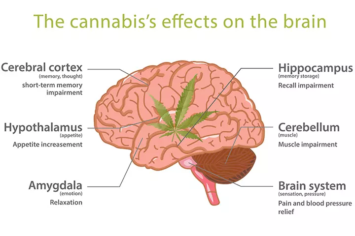 Effects of marijuana consumption while pregnant