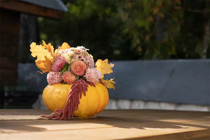 Embrace The Color Of Fall And Aesthetics