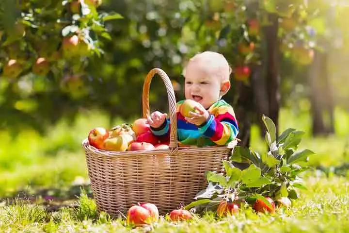 Fruit-orchard